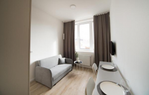 Studio apartment in Laisvės alėja